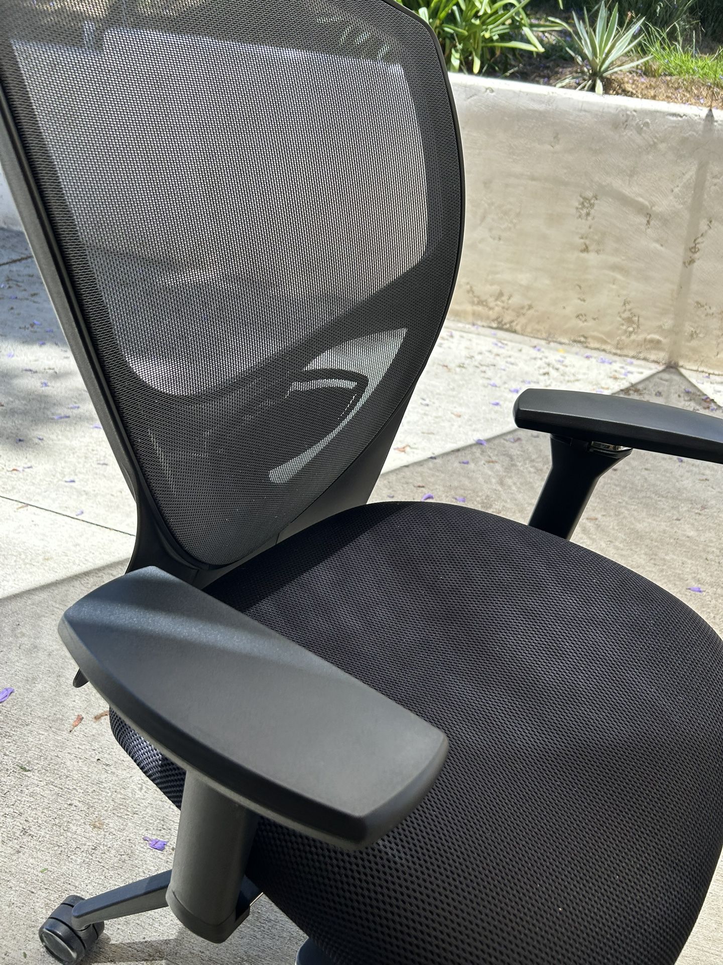 Office Chair Ergonomic 