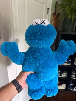 Rare Kaws x Sesame Street - Cookie Monster