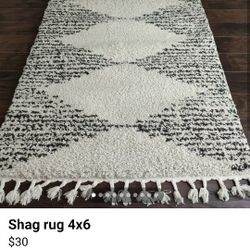 Shag Rug 4x6 