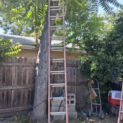 Ladder