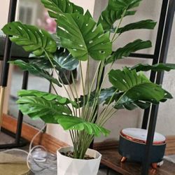 Pickup From Mount Juliet Tn 37122.. New Beautiful 28" artificial monstera plant with pot.excellent Condition..pet n smoke free home