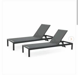 Cesicia Black 2-Piece Metal Adjustable Outdoor Chaise Lounge