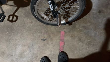 Collectible’s bike