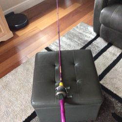 5 ft. 8 Inch Fish Sticks Rod From Bass Pro Shop,and Zebco Legacy Reel