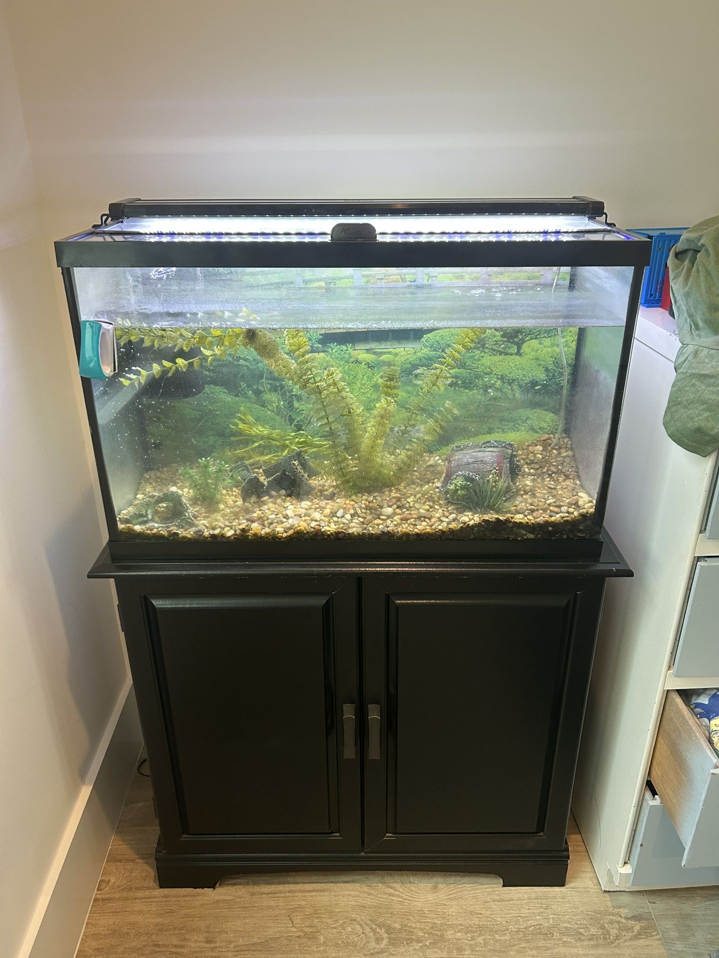 30 Gallon Fish Tank Full Setup And Supplies 