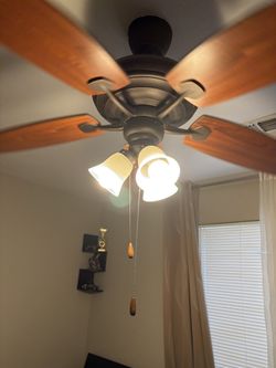 Ceiling Fan