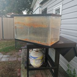 5 Gallon Fish Tank 