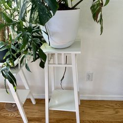 Plant Accessories 