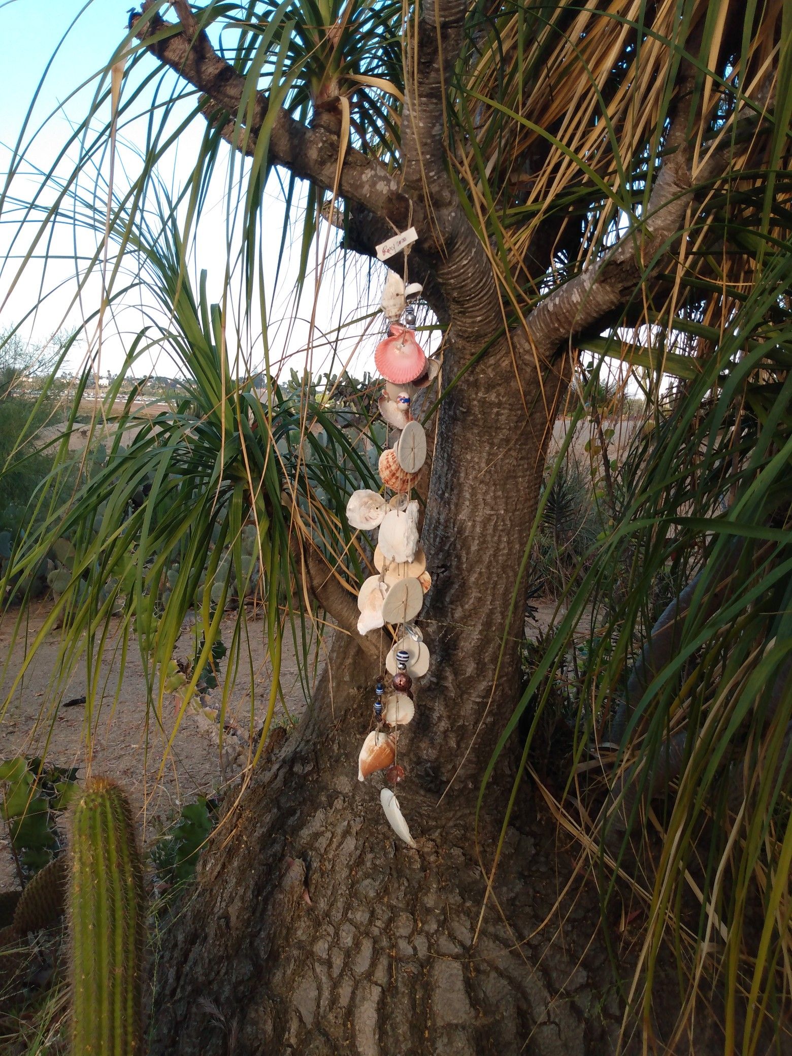 Shell and Bead wind chimes indoor outdoor decor