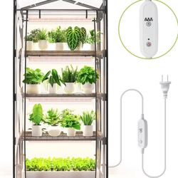 Greenhouse 