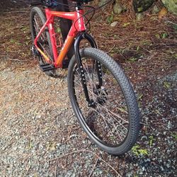 GT Ricochet Sport LG Frame