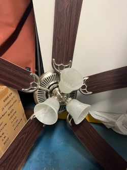 Ceiling fan