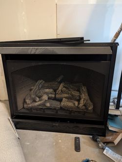 Dual Gas Heater Insert, 32000btu