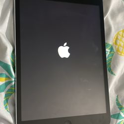 iPad Mini WiFi Model (no Negotiation With Price ) 