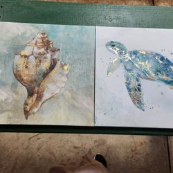 Sea Turtle and Seashell Bathroom Wall Art Canvas Painting Art Ocean Animal Watercolor Pictures Framed Ready to Hang