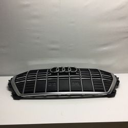 2019-20 Audi Q3  Front Grille Rock Chips