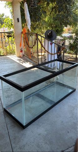 75 gallon aquarium tank