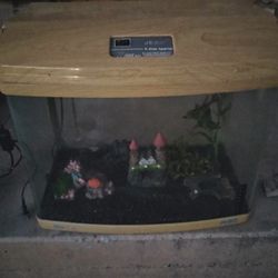 20 Gallon Aquarium 