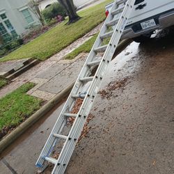 24 Ft Ladder