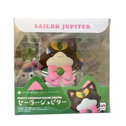 Pretty Guardian Sailor Moon Nyanto!