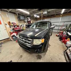 2010 Ford Escape