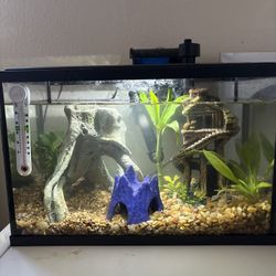 Two Fish Tanks For Sale 