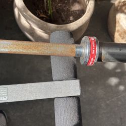 BENCH AND BAR 
