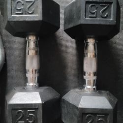 25lbs Dumbells Weights 
