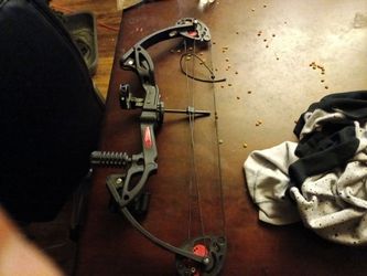 Compound youth bow