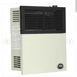 Ashley Hearth Products 11,000 BTU Direct Vent Natural Gas Heater