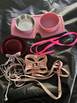 Pet Accessories and Supplies