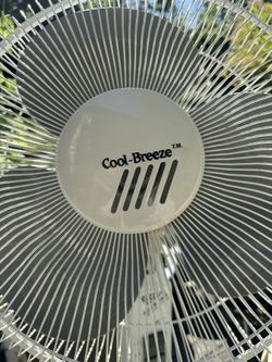 Fan