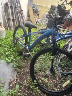 Kids Bike