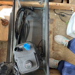 Tank, Penn-Plax cascade elite Filter, Aquarium Heaters and Rock Decor