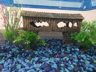 Aquarium