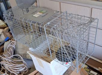 Animal Trap