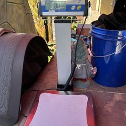 Adam Equipment Bench Scale 