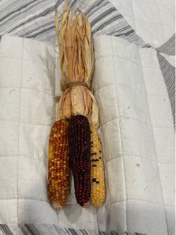 Mini Indian Corn Set Of 3 Multicolored 4” Minus Husks