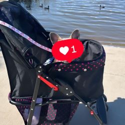 Dog Stroller (girl)