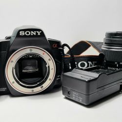 Sony 390 Digital Camera