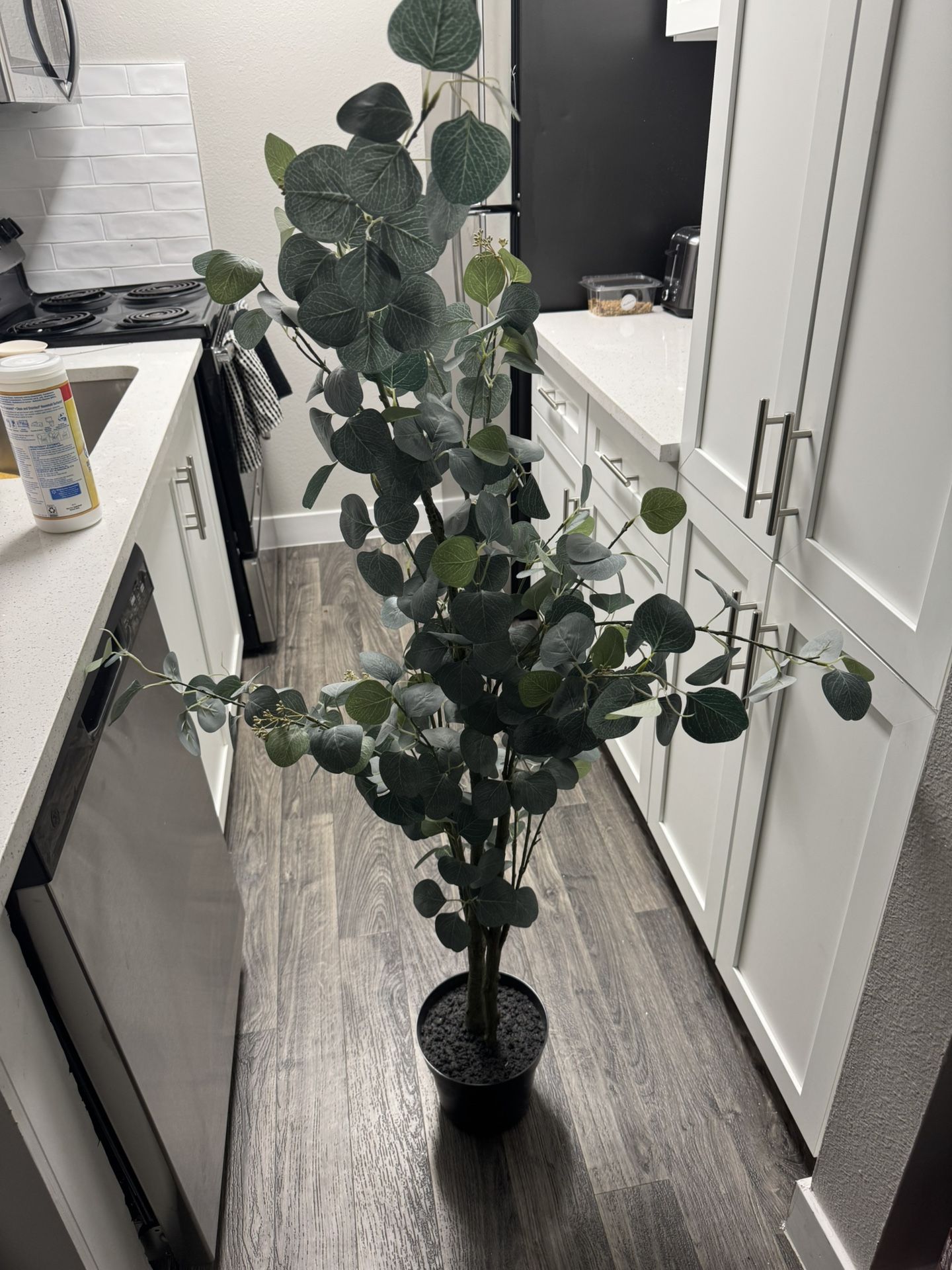 Fake House Plant