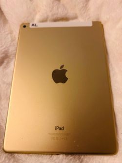 Immaculate Gold 16GB  iPad with my 60$  Case