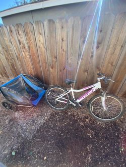 Schwinn Bike