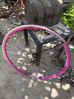 2 rims