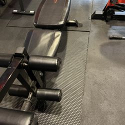 Weight Bench