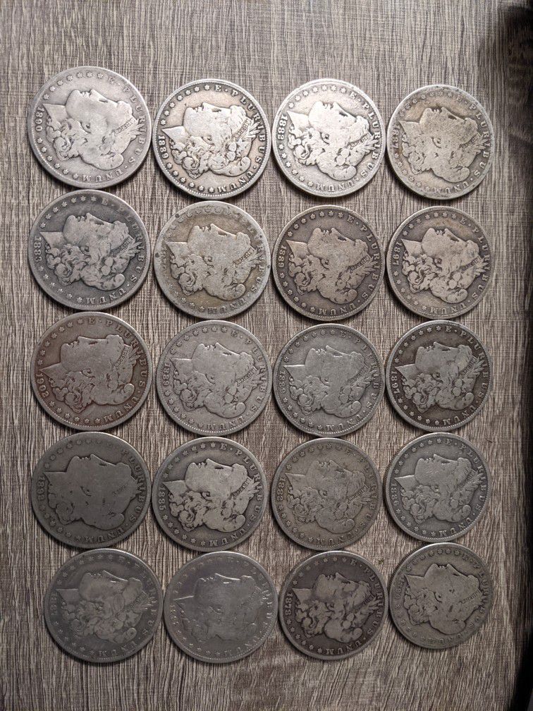 20 Silver Morgans