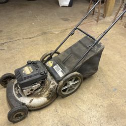 Working Lawnmower