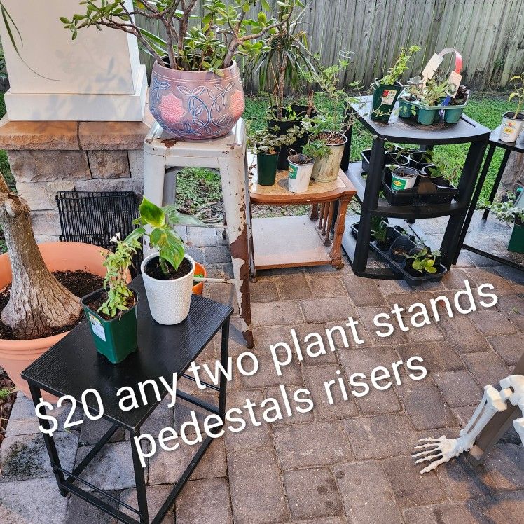 $20 Each Any Two Plant Stands Or $20 For Any Succulent Garden Planter