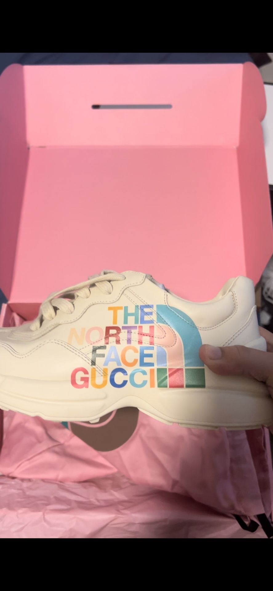 North Face Edition Gucci Shoes