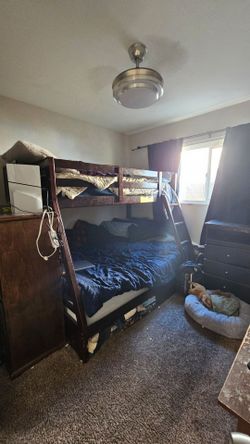 Free bunk bed
